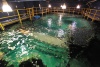 200,000 gallon Tropical Marine Life Support System, Sea Life Arizona, USA